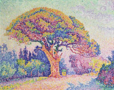 Die Kiefer in St. Tropez, 1909 von Paul Signac